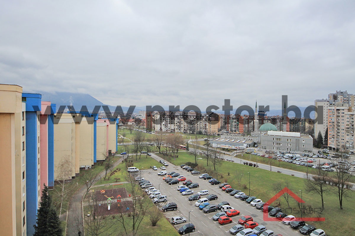 11 Pogled