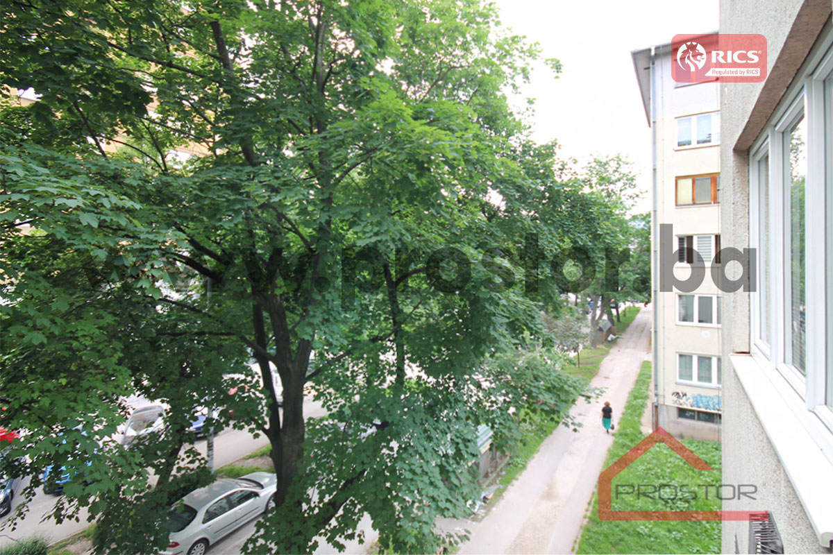 13 Pogled