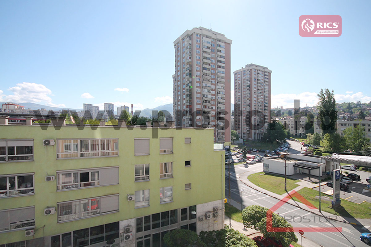 13 Pogled