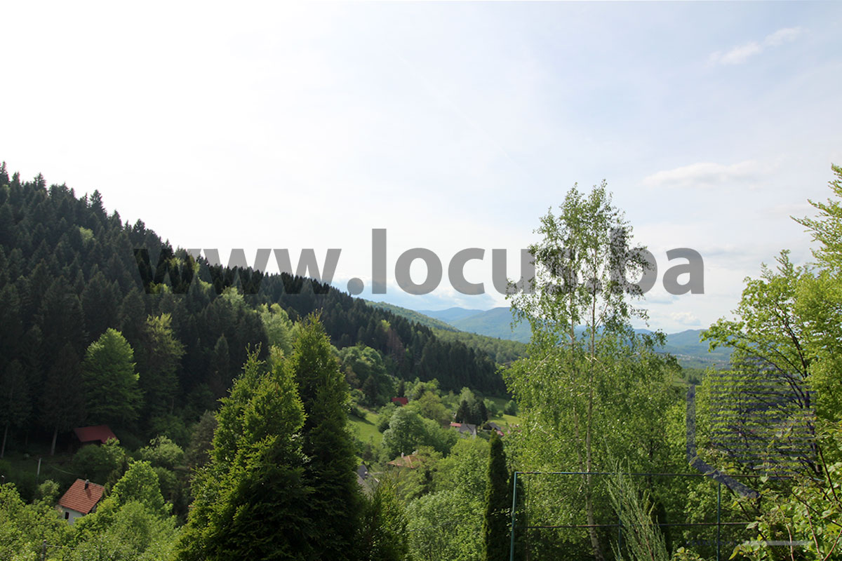 19Pogled