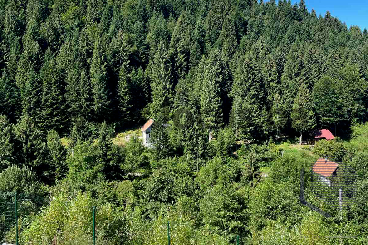 Pogled-