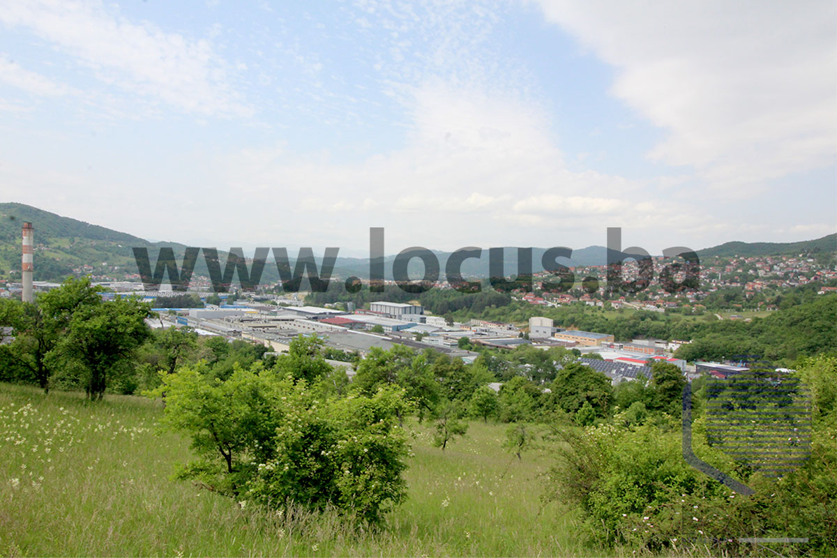 1_ Pogled
