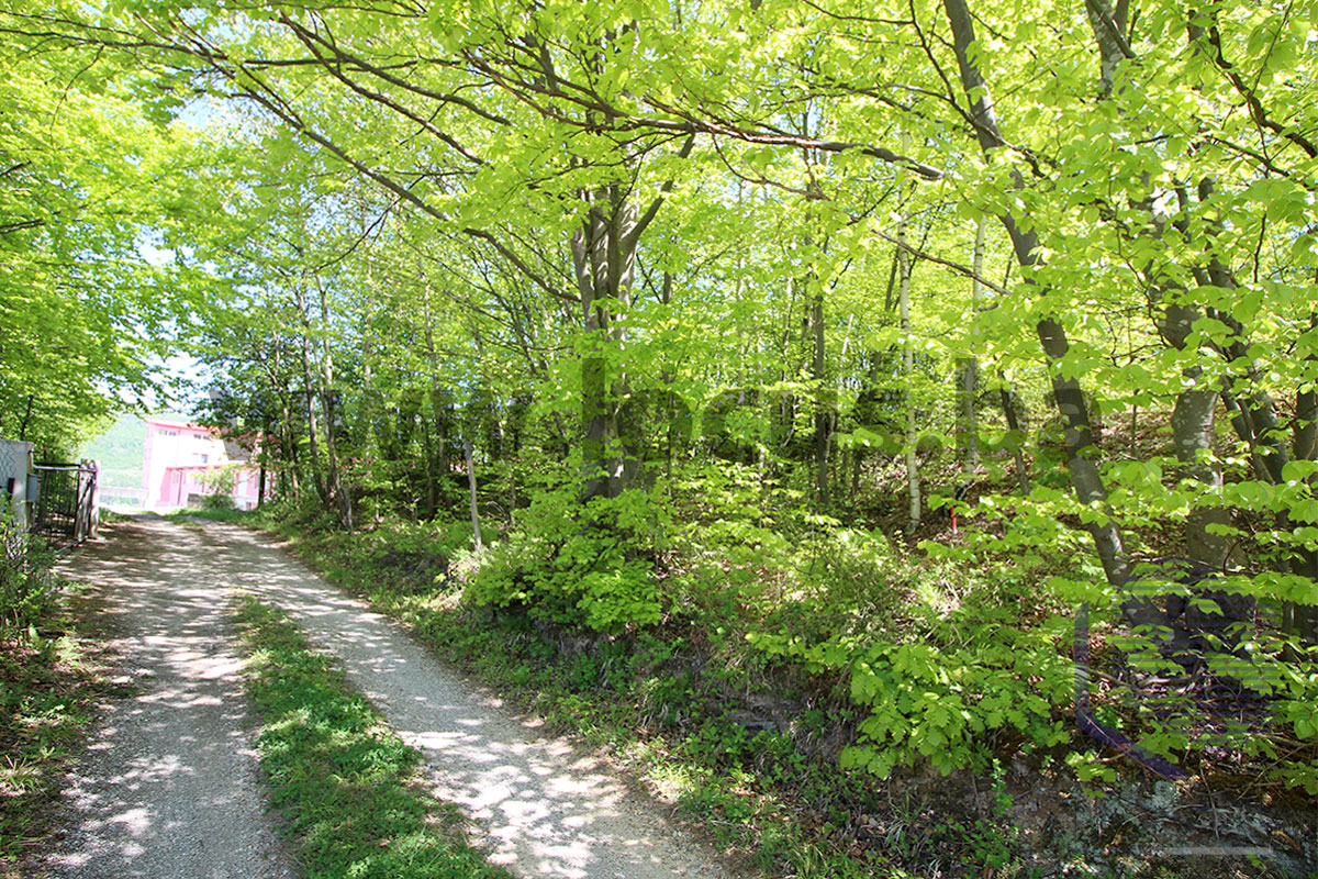 13_ Vanjska slika