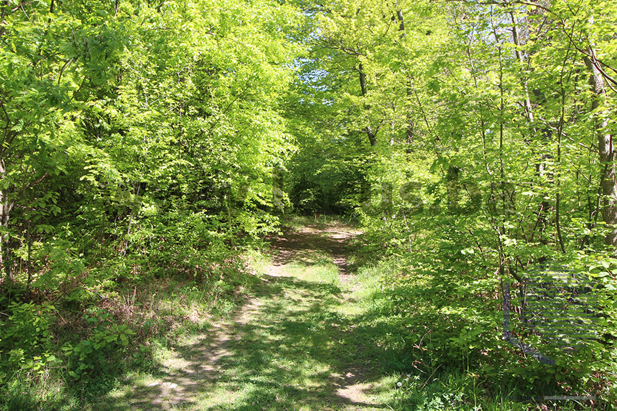12_ Vanjska slika