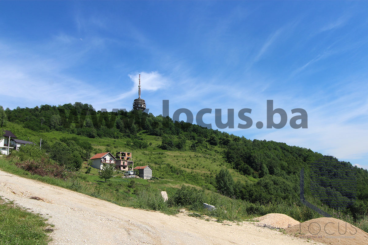 13_ Pogled