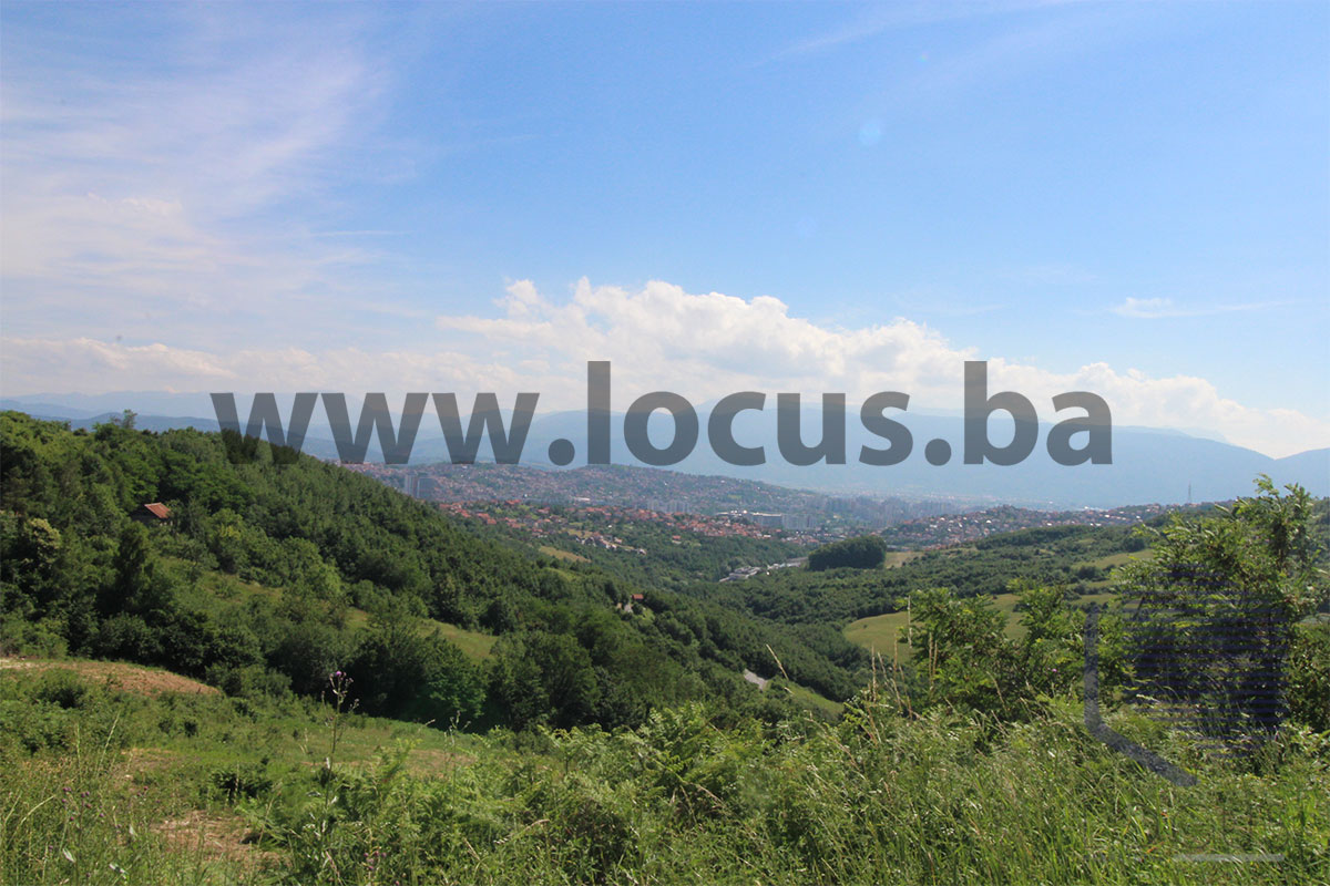 14_ Pogled