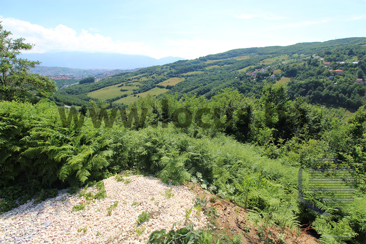 12_ Pogled