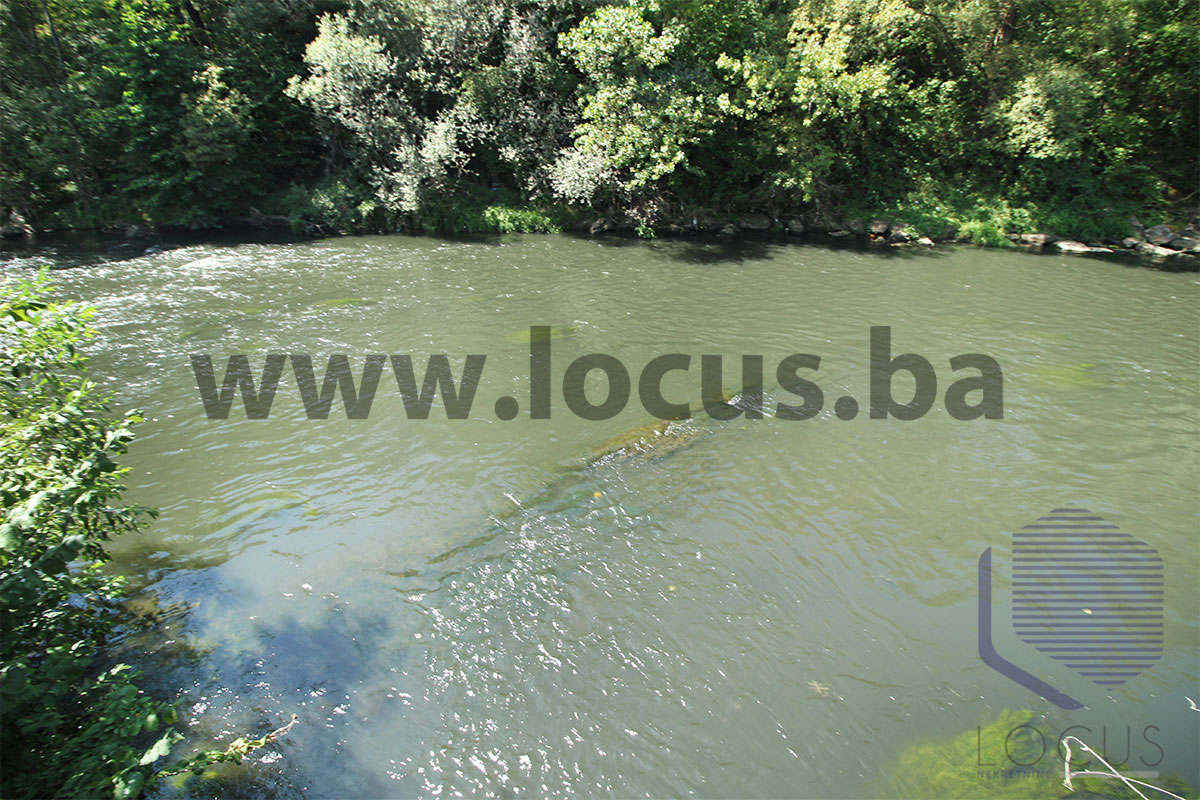 16_ Pogled