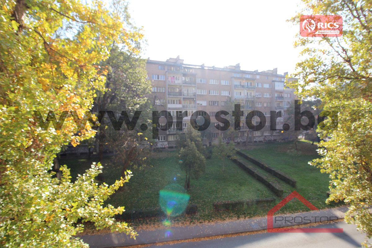 19 Pogled