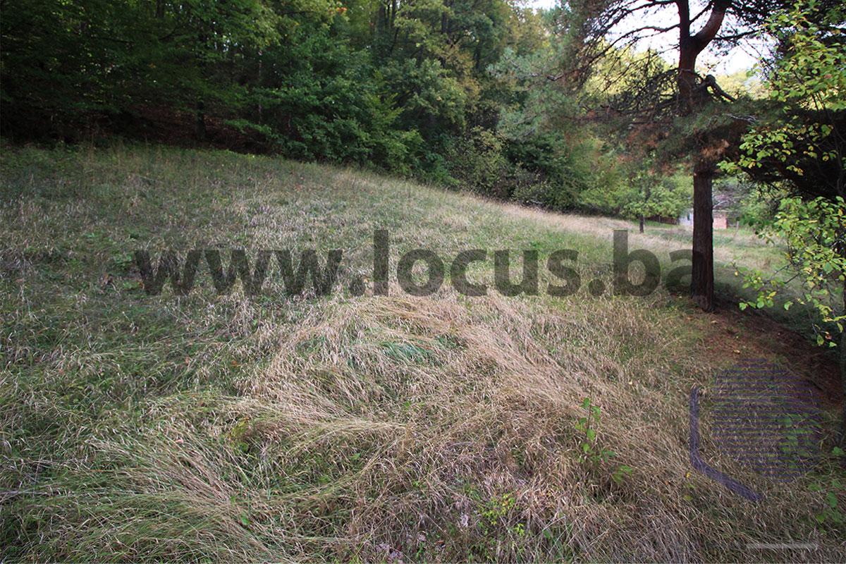 10_-dvorište