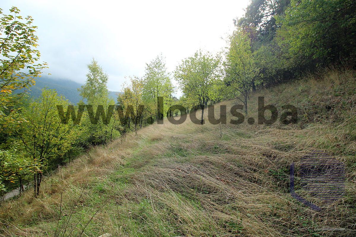 9_-dvorište