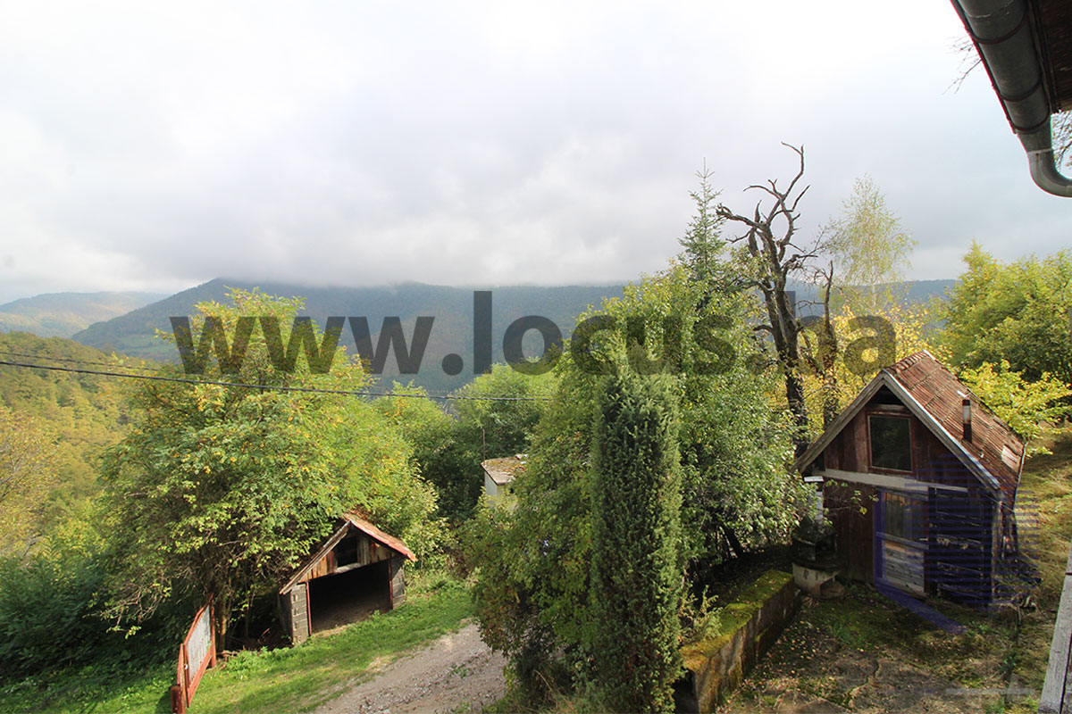17_-pogled