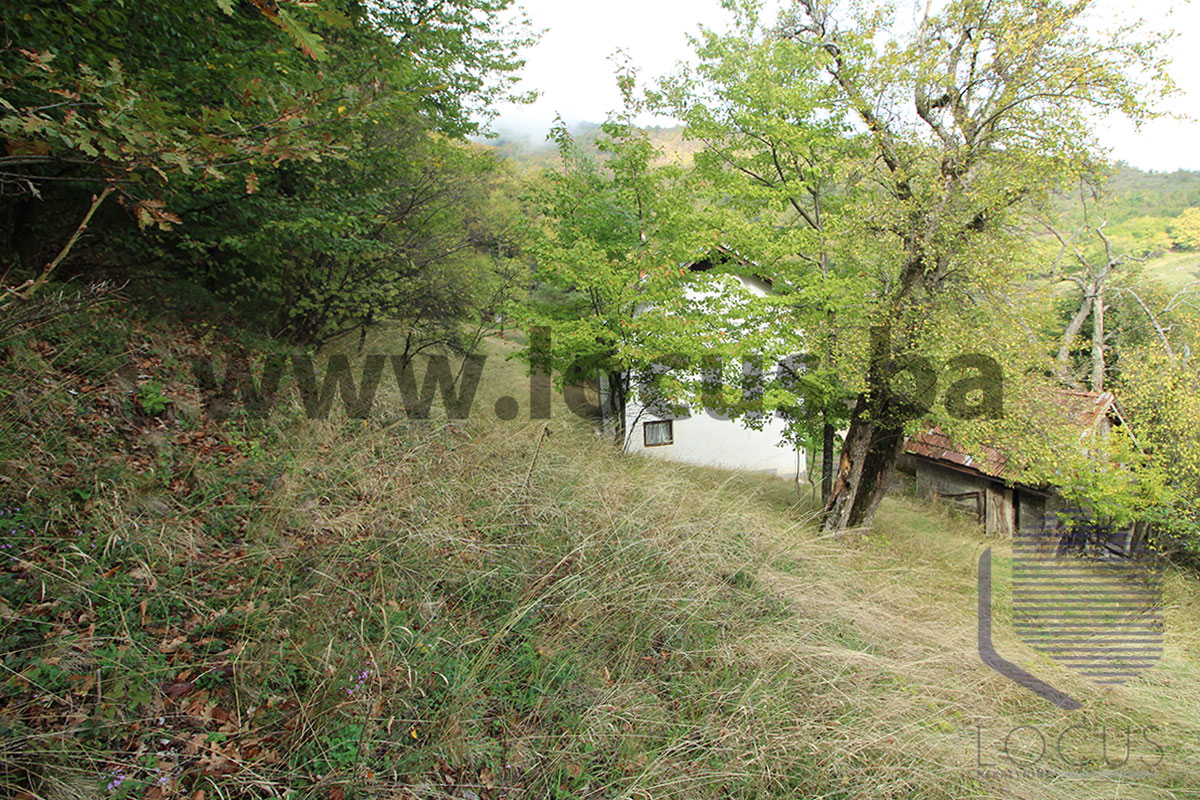 7_-dvorište