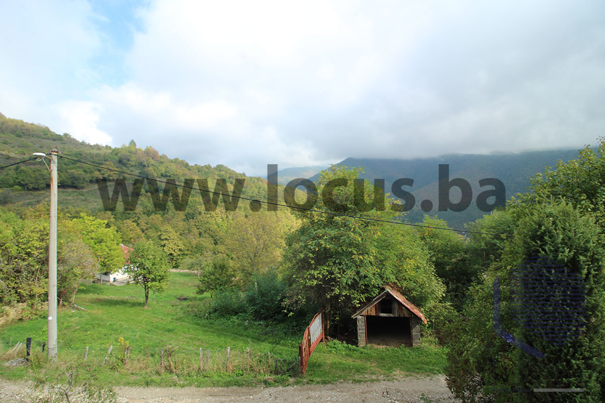 16_-pogled