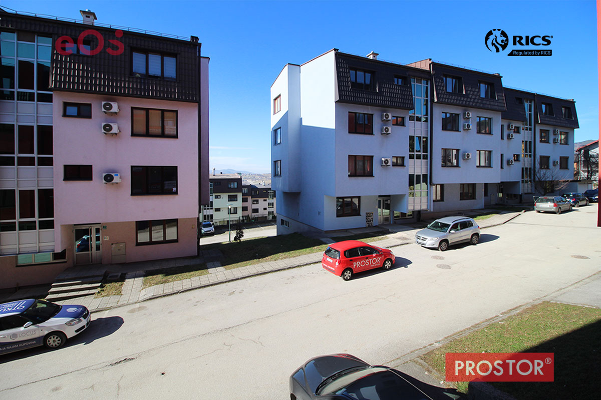 11 Pogled