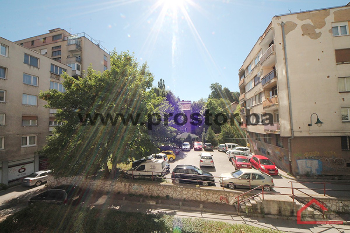 Pogled