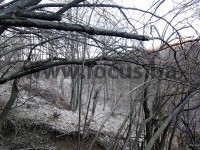 3_ Slika 3