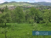 17_ Pogled