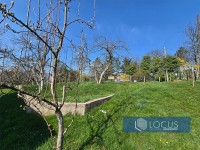 4_ Parcela