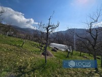7_ Parcela