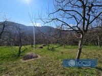 9_ Parcela