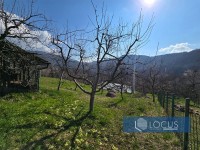 6_ Parcela