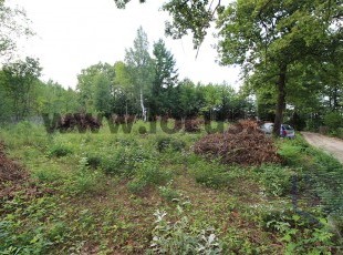 A spacious plot of land with an area of 1,732m2 in an accessible microlocation in a natural environment with plenty of greenery and tall pines, Gladno polje, Ilidža