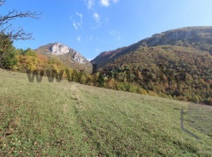 A spacious and sunny plot of land with an area of 19,909sqm in a beautiful natural environment with plenty of greenery and clean air in Nahorevo, Center