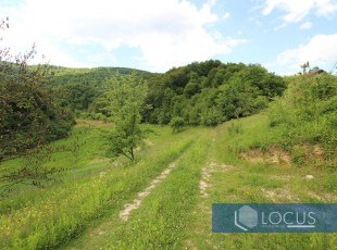 Land with a registered area of ​​38,338 m² in a beautiful natural environment with a beech forest, meadows and a stream in the village of Gornji Malešići. Municipality of Ilijaš